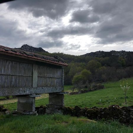 A Casa Do Chico Lejlighed Ourense Eksteriør billede